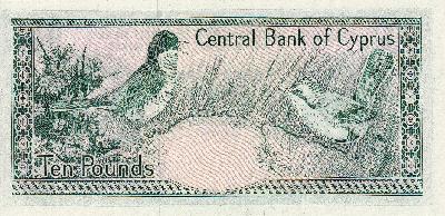 Beschrijving achterzijde: BIRDS